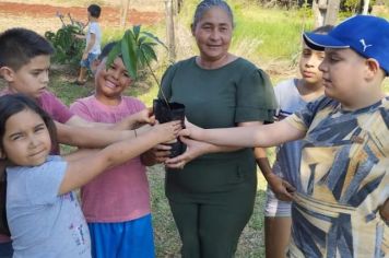 Foto - Formados em Manejo e Preparo de Mudas Florestais