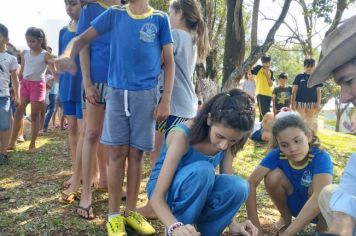 Foto - Formados em Manejo e Preparo de Mudas Florestais