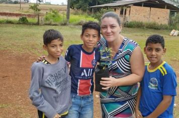 Foto - Formados em Manejo e Preparo de Mudas Florestais