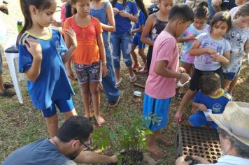 Foto - Formados em Manejo e Preparo de Mudas Florestais