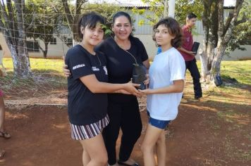 Foto - Formados em Manejo e Preparo de Mudas Florestais